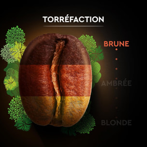 Carte Noire Bio Intense. Café en Grains Torréfiés. Pur Arabica Biologique. Paquet de 1 kg