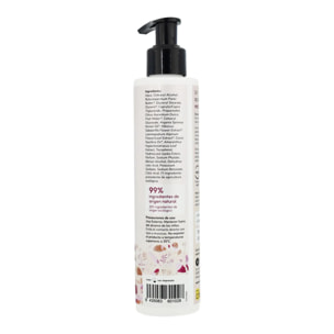 Acondicionador recuperador de brillo Flor de Hibisco y Coco Planeta Huerto 200 ml