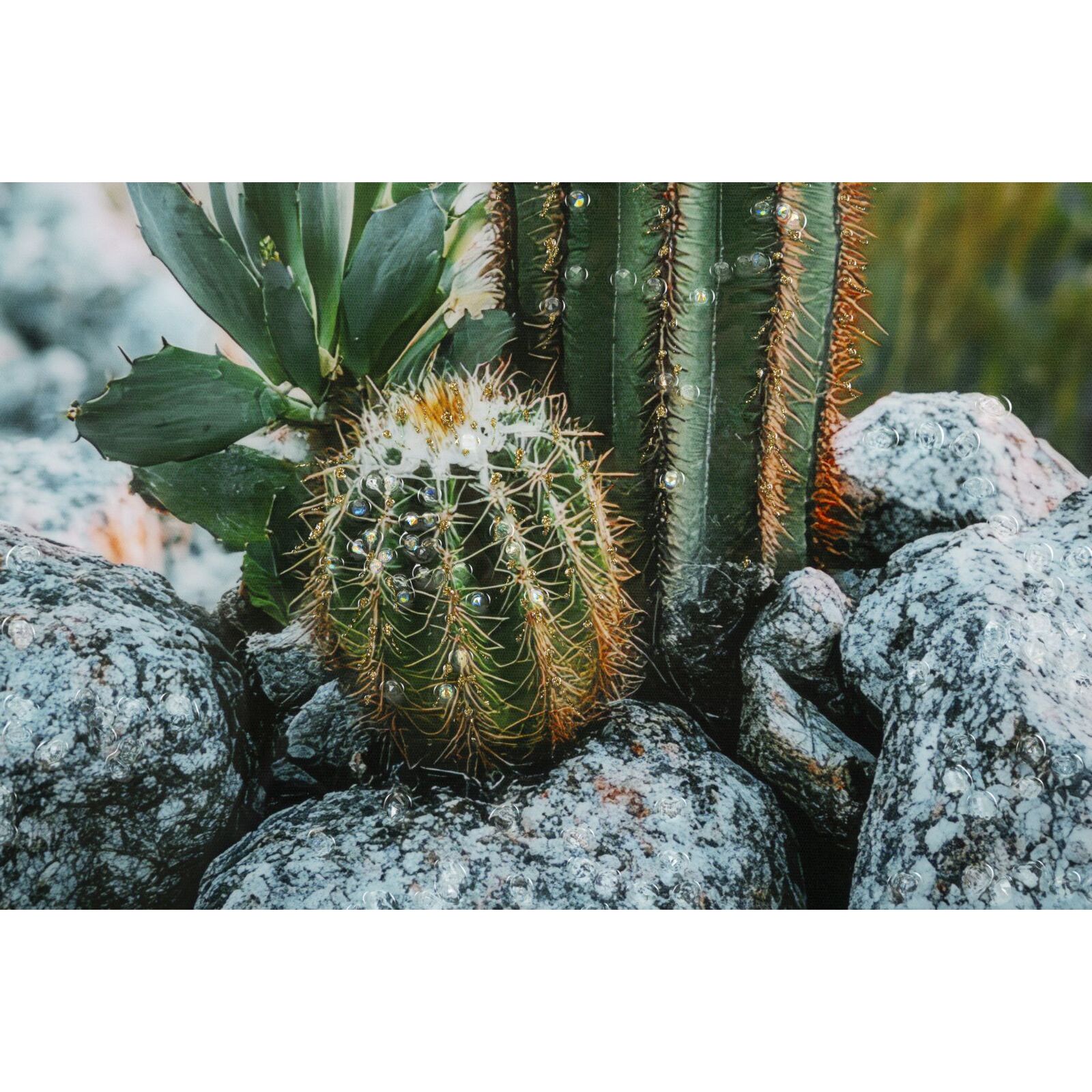 STAMPA SU TELA LACCATA C/CORNICE CACTUS -A- CM 60X4X90