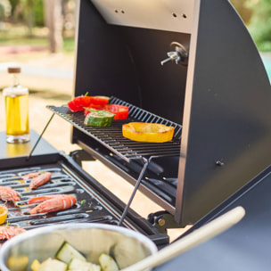 Barbecue gaz 3 brûleurs + 1 feu latéral avec roues, tablettes et thermomètre TREVILLE 3