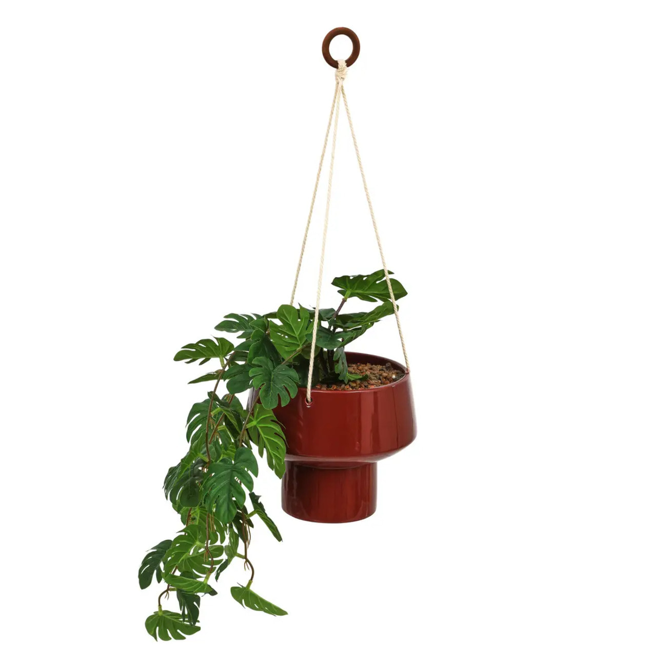 Plante suspendue Homy H.80cm
