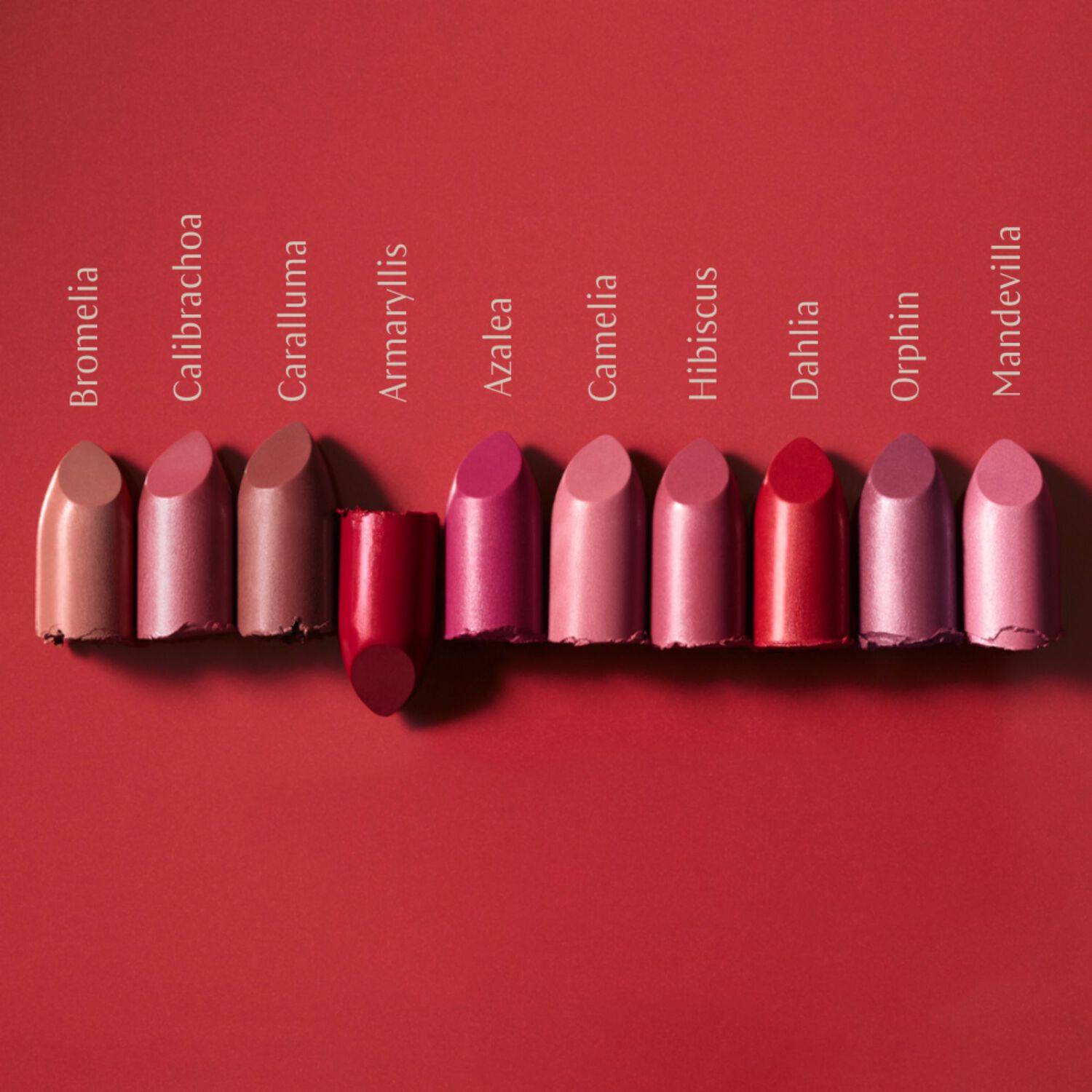 Rouge à Lèvres - 100% Cosmétique Naturelle