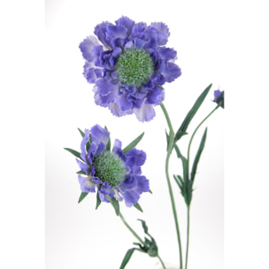 Fiore Di Scabiosa Con 3 Diramazioni. Altezza 64 Cm - Pezzi 6 - 14X64X12cm - Colore: Viola - Bianchi Dino - Fiori Artificiali