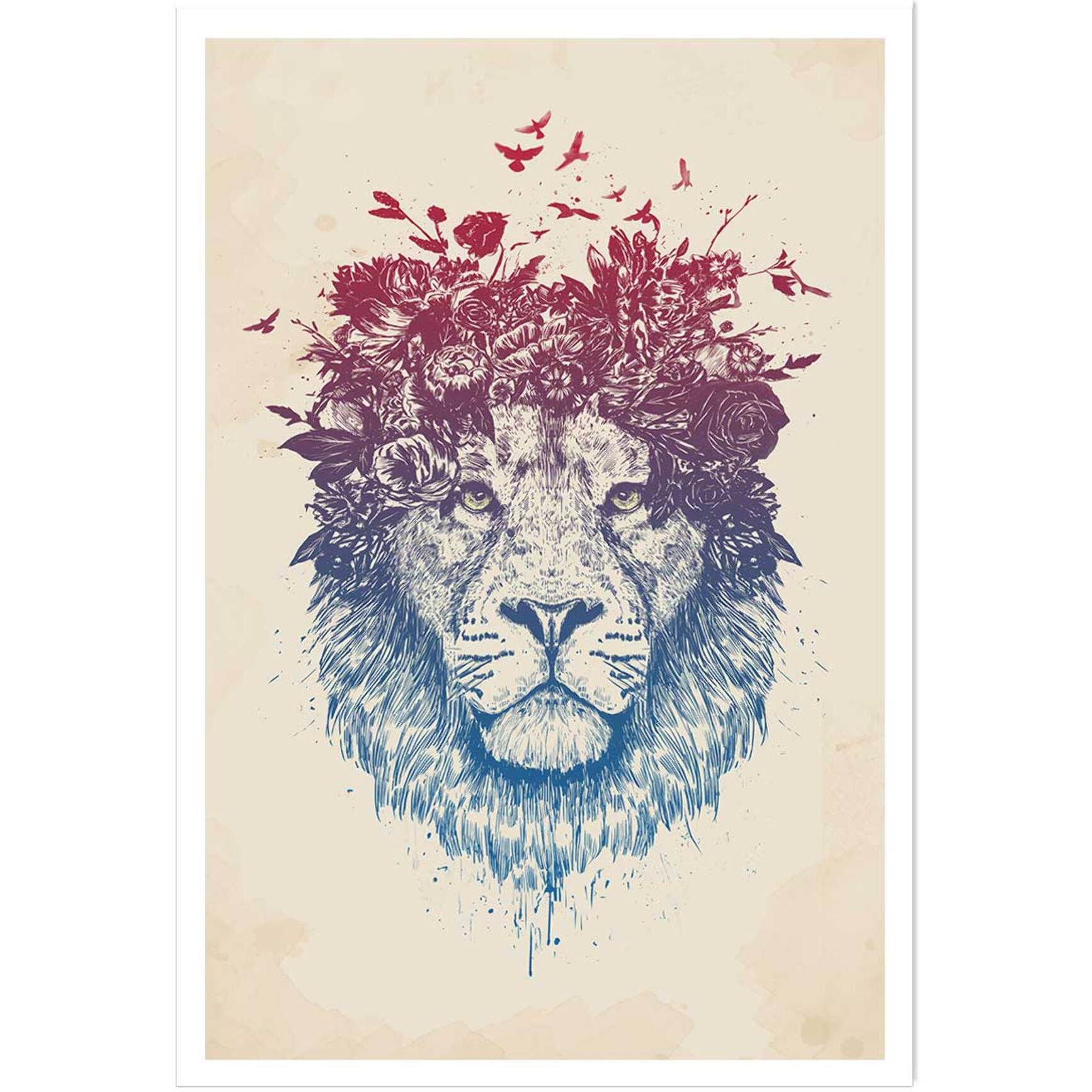 Affiche enfant lion aux fleurs  Affiche seule
