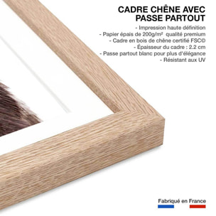 Affiche enfant bébé ours  Affiche + cadre en bois - Chêne