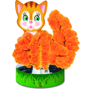 CRECIMIENTO DE CRISTALES: GATITO