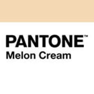 Pantone - Funda Nórdica Estampada - Cierre Solapa - 100% Algodón - Incluye 1/2 Fundas de Almohada - Melon Cream