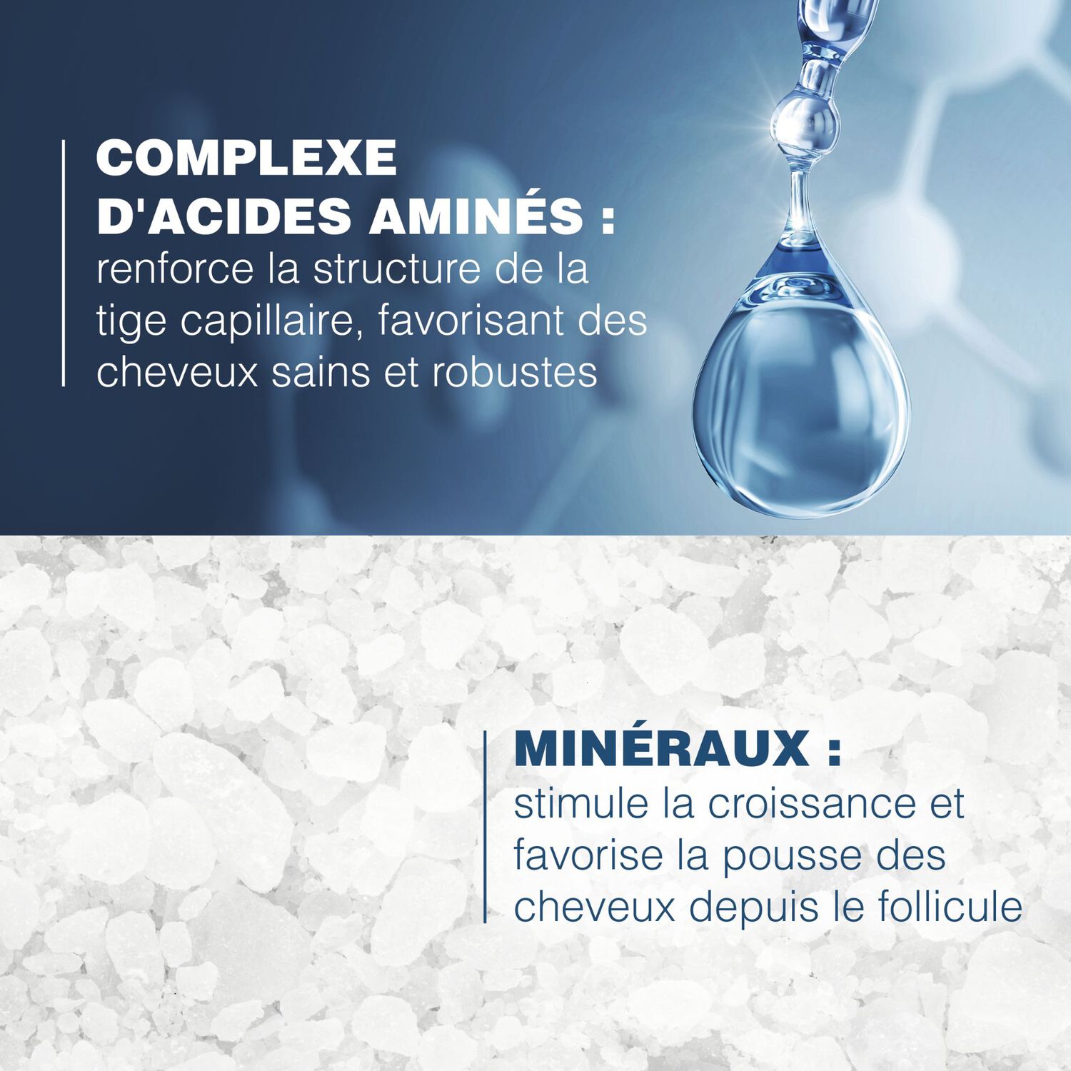Anaphase - Shampooing Antichute et Ancrage