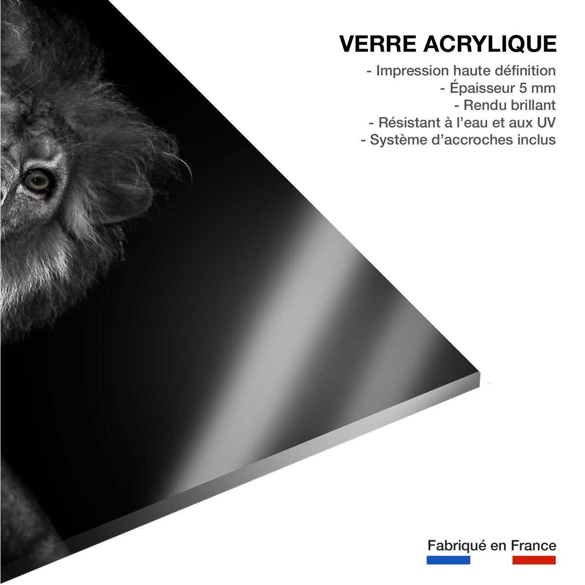 Tableau majestueux roi des animaux Tableau plexiglas