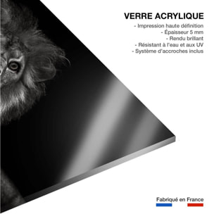 Tableau majestueux roi des animaux Tableau plexiglas