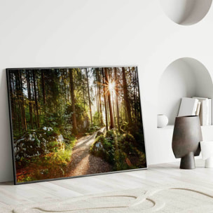 Affiche encadrée – Chemin forestier ensoleillé Affiche + cadre en métal - Noir