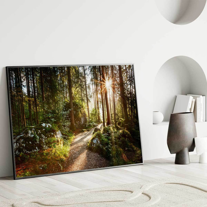 Affiche encadrée – Chemin forestier ensoleillé Affiche + cadre en métal - Noir