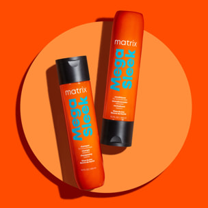 Mega Sleek - Après-Shampoing Anti-Frisottis