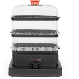 Cuiseur vapeur LIVOO DOC 300