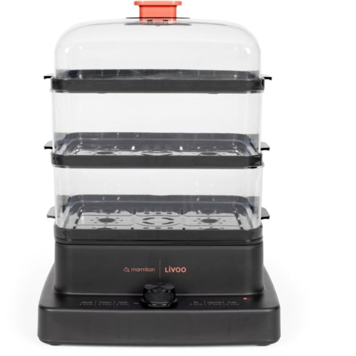 Cuiseur vapeur LIVOO DOC 300