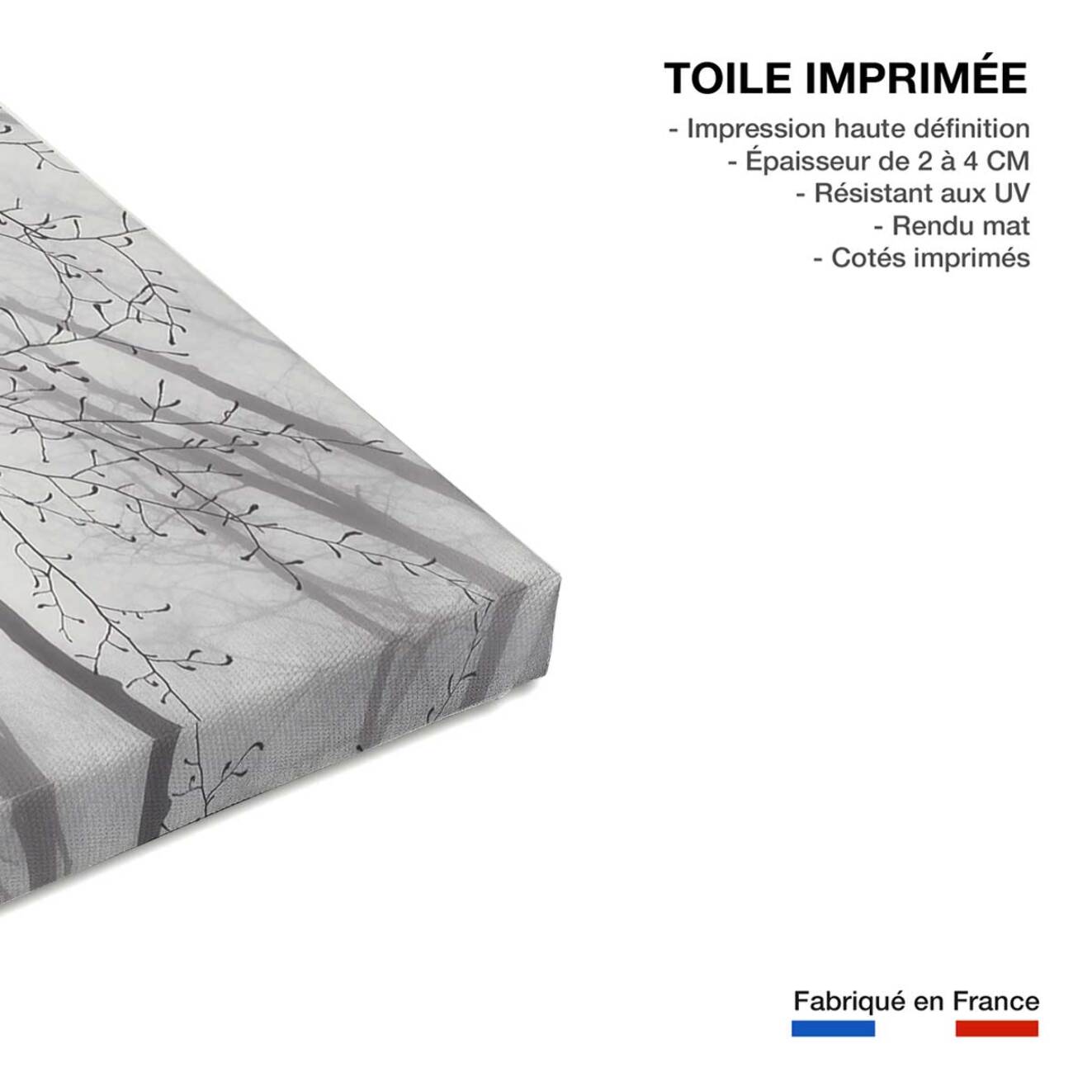 Tableau nature canopée Toile imprimée