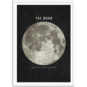 Affiche - The moon - Terry Fan