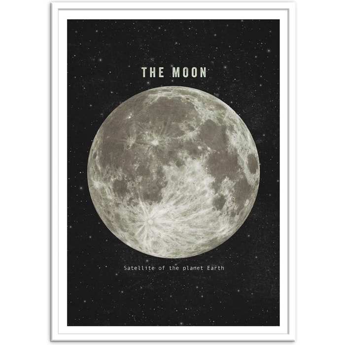 Affiche - The moon - Terry Fan