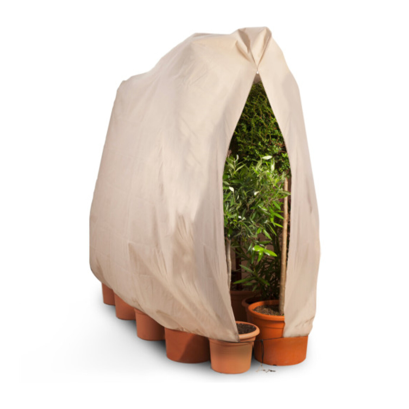 Housses d'hivernage pour plantes