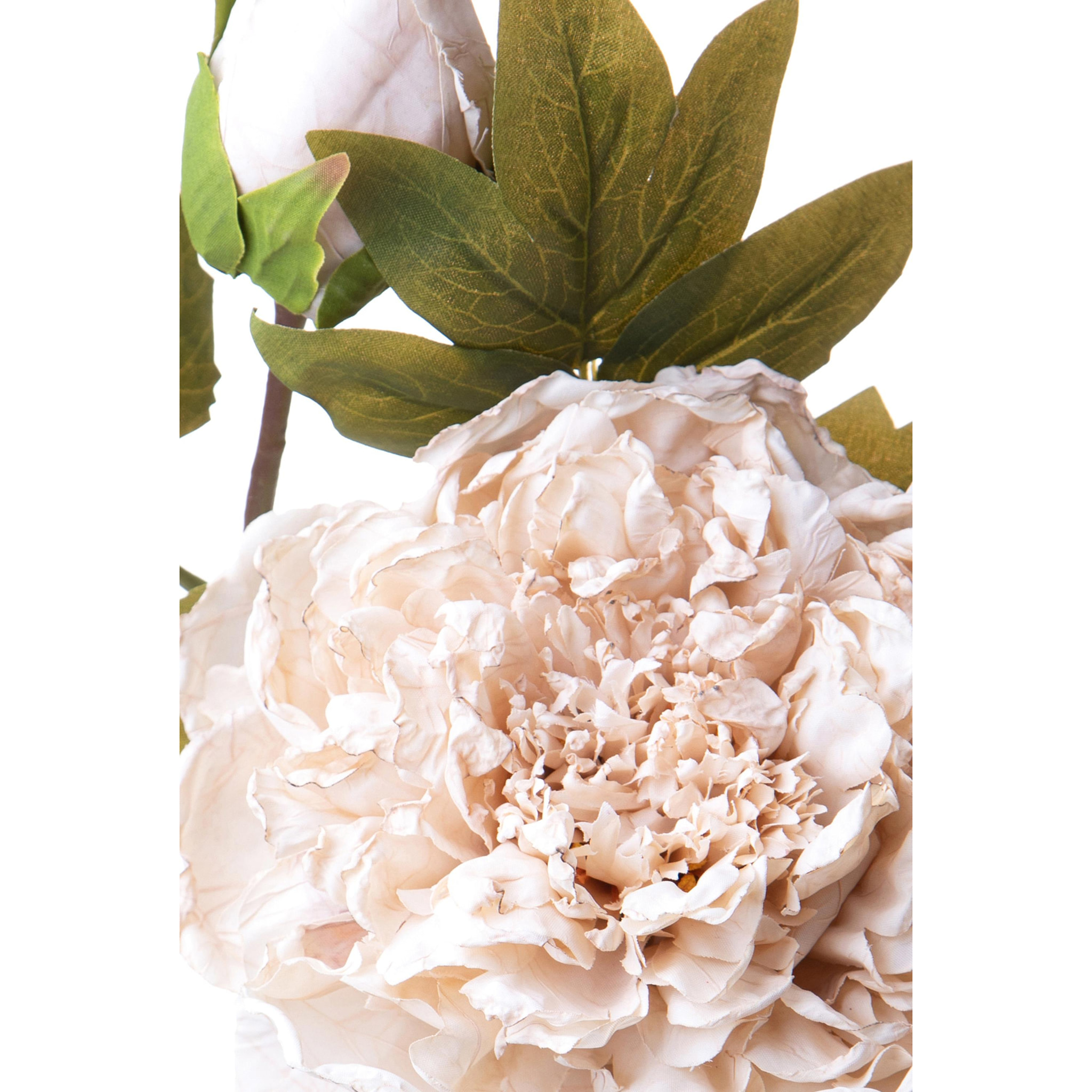 Fiore Peonia 65 Cm - Pezzi 6 - 22X50X22cm - Colore: Bianco - Bianchi Dino - Fiori Artificiali