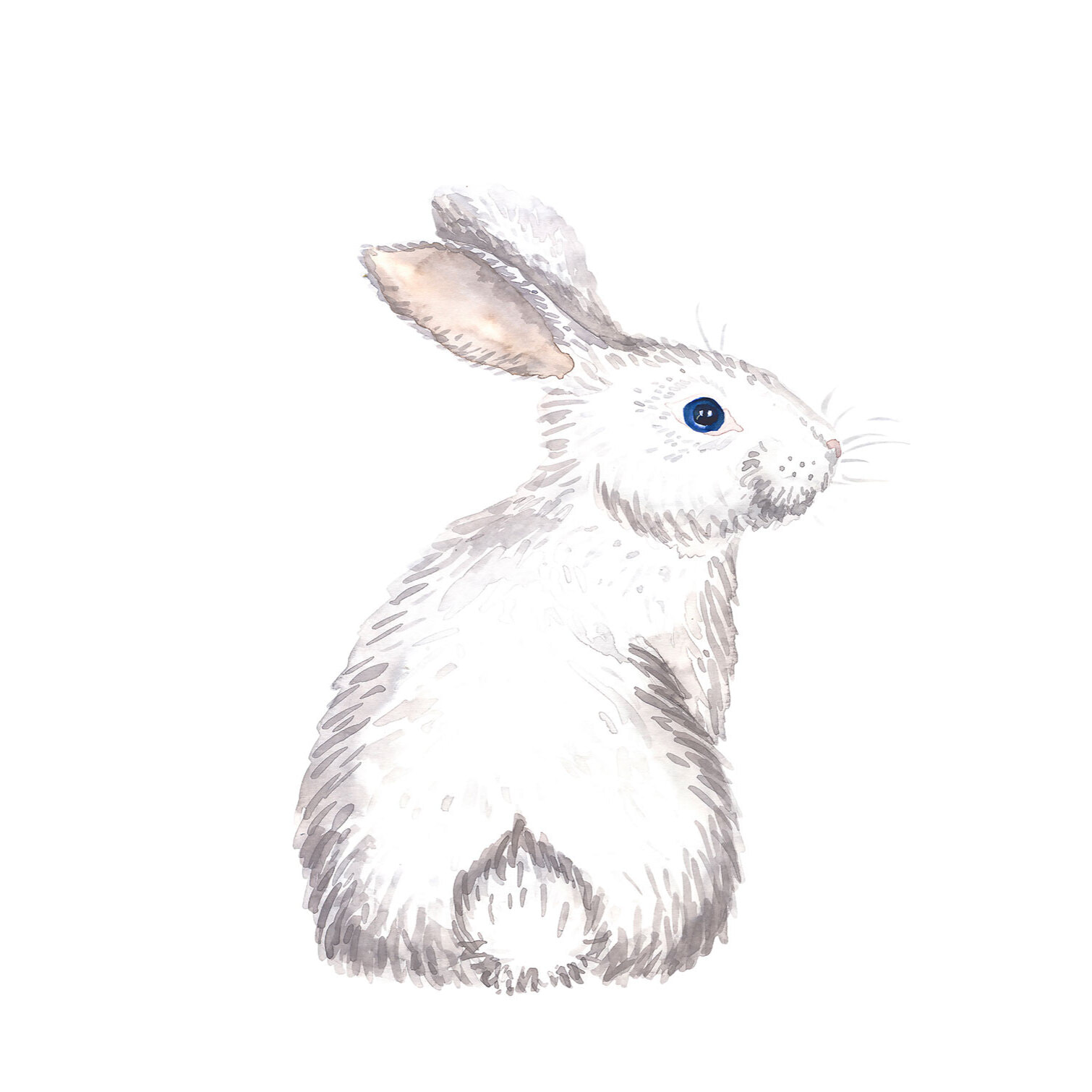 Tableau enfants pour le lapinou  Tableau alu Dibond