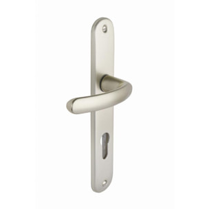 Ensemble de porte Budget BEZAULT entraxe 195mm Clé i - Champagne - 204861