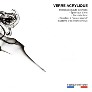 Tableau black smoke the dancer Tableau plexiglas