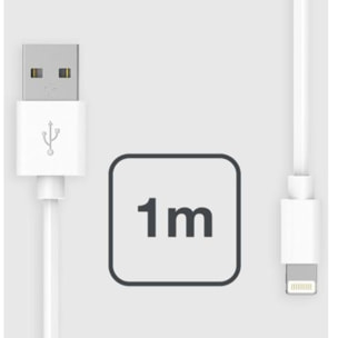 Câble Lightning ESSENTIELB vers USB 1M certifié Apple Blanc compatible iPhone 14 13 12 Pro Max et iPad