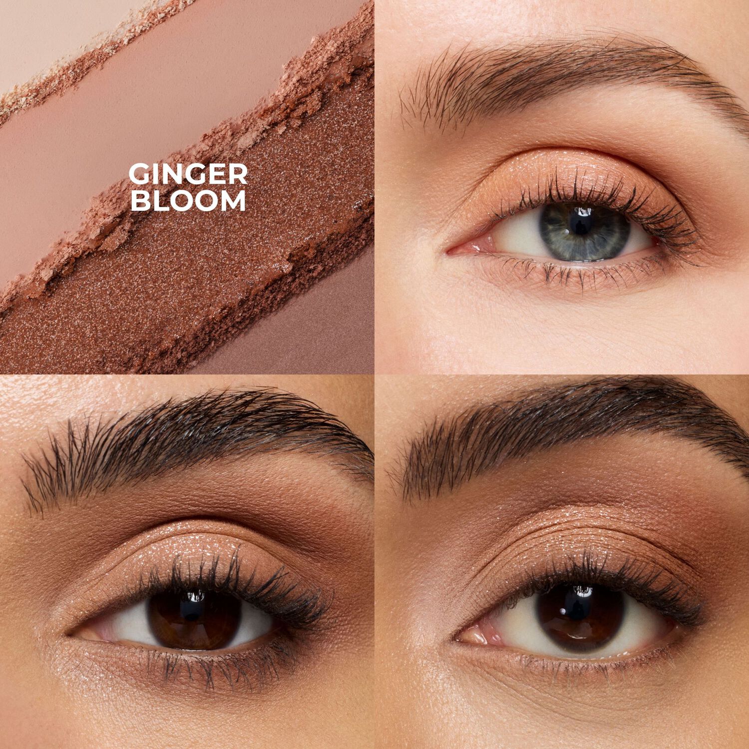 Caviar Eye Shadow Quad - GING BLOOM4X1,5G