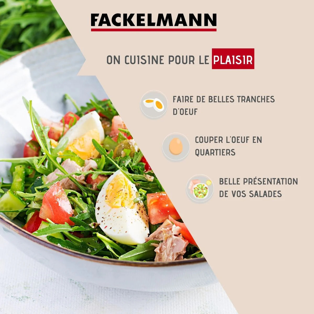 Coupe oeuf 2 en 1 Fackelmann Colors Edition