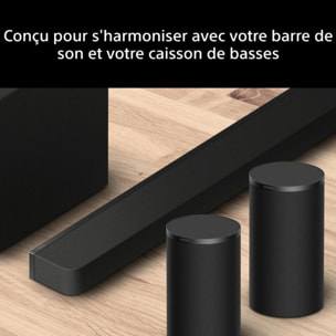 Kit enceinte surround SONY Bravia Theatre SARS9