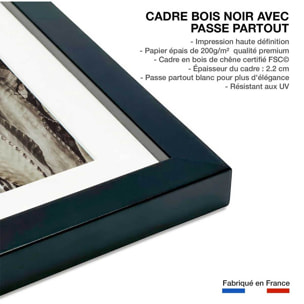 Poster cactus mood Affiche sous cadre noir