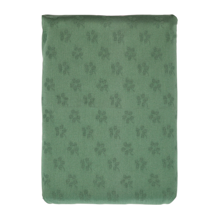 Nappe Forget-me-not Damas