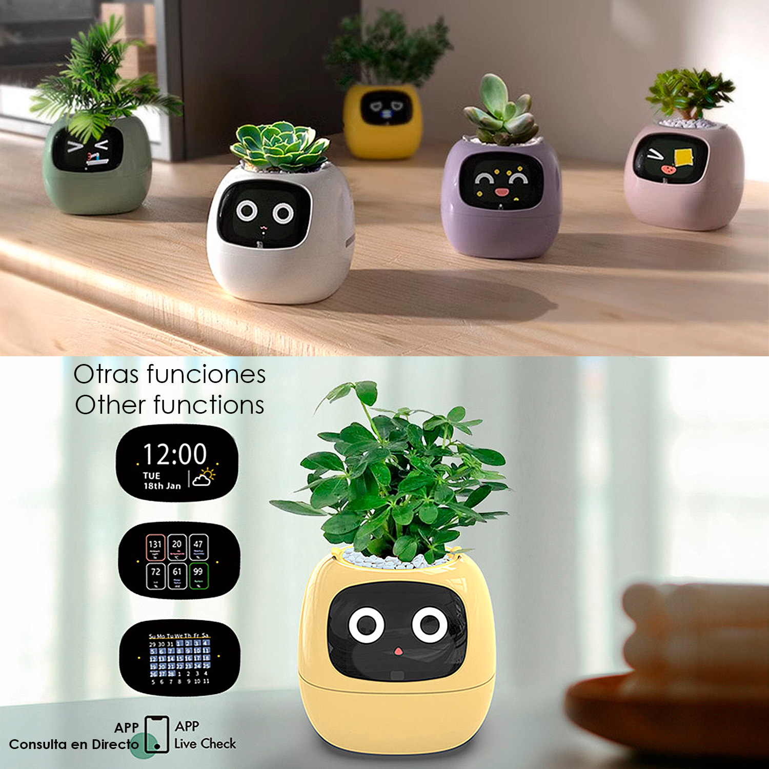 Maceta inteligente Ivy con sensores internos y externos, pantalla interactiva con expresiones faciales, batería de 2000mAh y monitoreo completo de la planta.