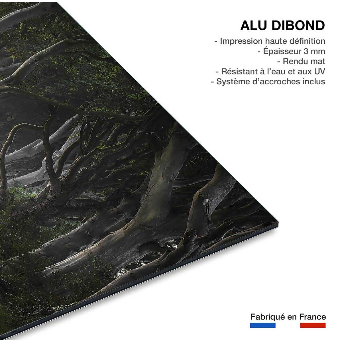 Tableau route de l'irréel Tableau alu Dibond