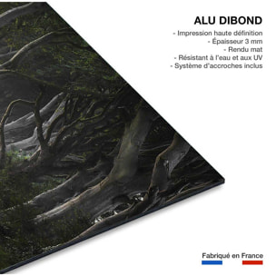 Tableau route de l'irréel Tableau alu Dibond