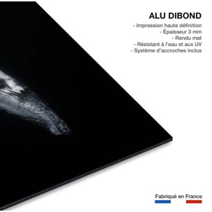 Tableau baleine baleine noire  Tableau alu Dibond