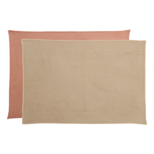 Lot de 2 chiffons 45x60cm