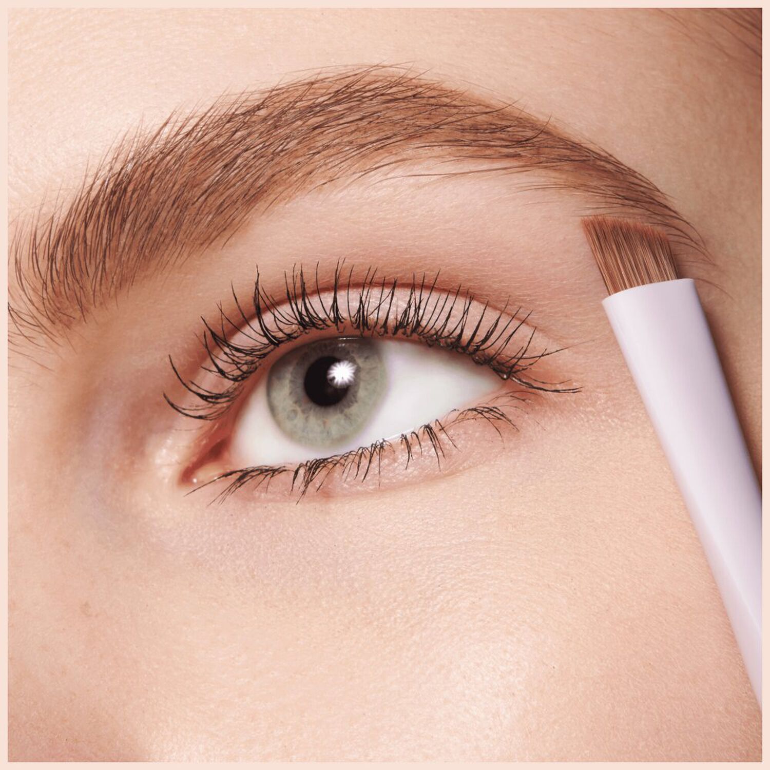 Brow Brush - Pinceau Sourcils