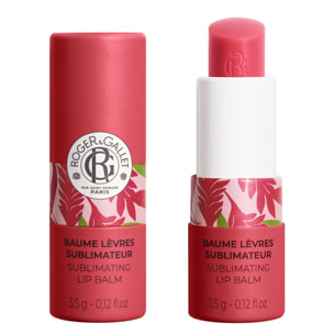 Gingembre Rouge - Baume Lèvres Sublimateur 3,5g