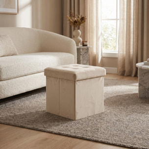 Pouf contenitore in velluto 38x38x38 cm, cubo imbottito con vano interno, seduta elegante effetto velvet trapuntato, resistente fino a 150 kg, salvaspazio ideale per camera soggiorno ingresso e cameretta