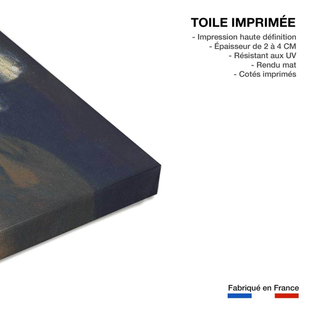 Tableau la jeune fille à la perle de vermeer  Toile imprimée