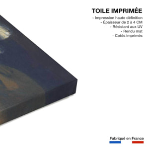 Tableau la jeune fille à la perle de vermeer  Toile imprimée