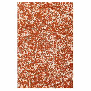 Tapis Spiced Rice