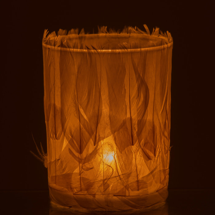 J-Line photophore Plumes - verre - crème - large - 2 pièces