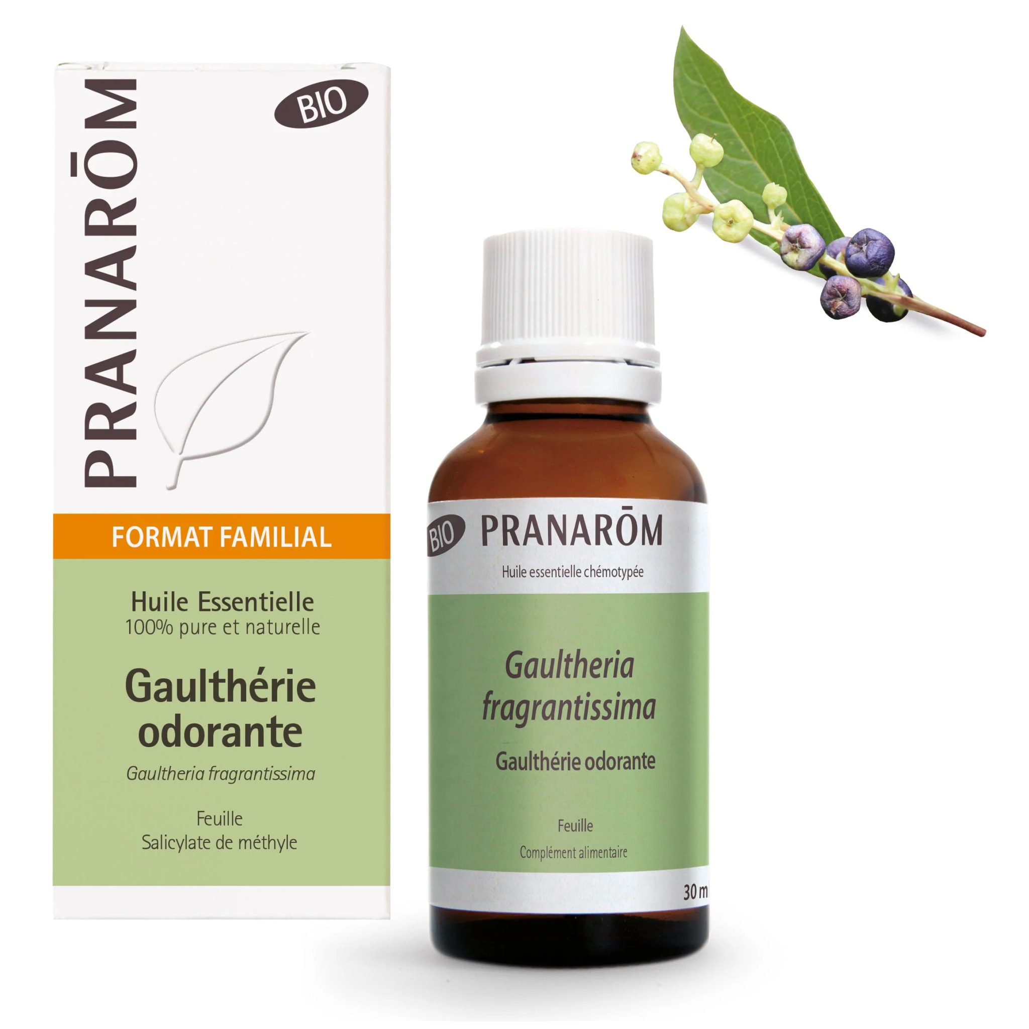 Pranarom - Huile Essentielle de Gaulthérie odorante - grand format - Bio - 30 ml