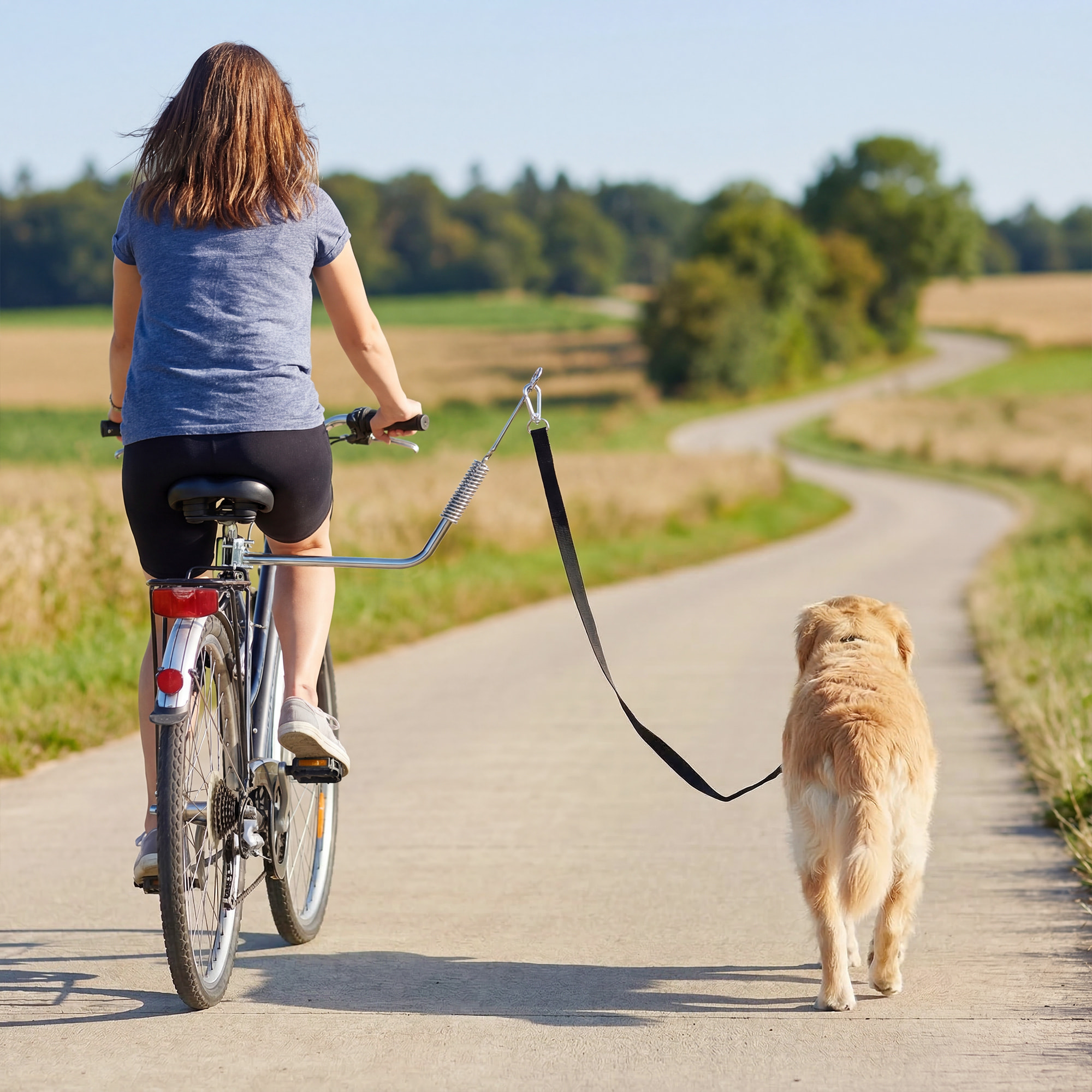 Laisse de vélo pour chien fixation facile rapide ressort amortisseur sangle ajustable