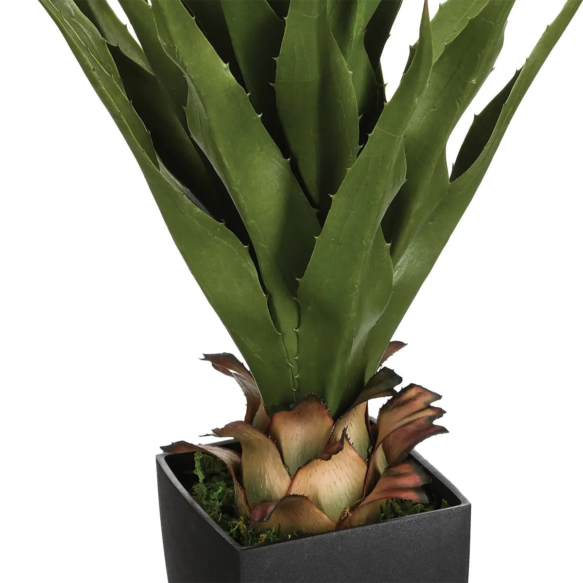 Agave artificielle H73 cm