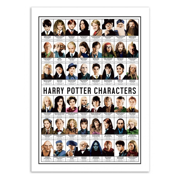 Art-Poster - Harry Potter Characters - Olivier Bourdereau - 50 x 70 cm