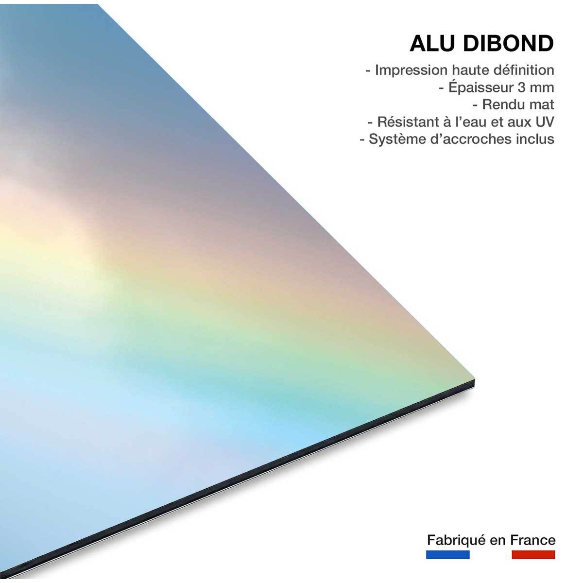 Tableau arc en ciel pastel Tableau alu Dibond